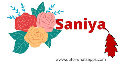 500+ saniya name dp | saniya name image | saniya name wallpaper | saniya name photo |