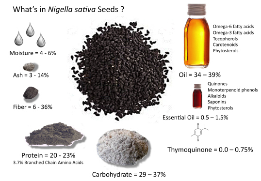 Khasiat ajwa Oil  Asli Olive  fungsi Habbatussauda kurma