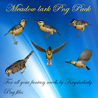 Meadow lark PNG pack tubes birds