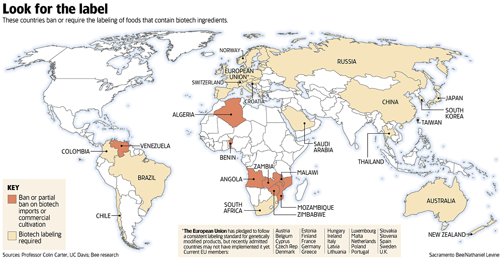 world map labeled with countries. world map continents labeled.