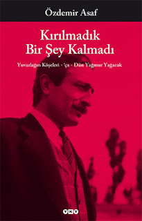 kitap yorumu, bir deli mavi