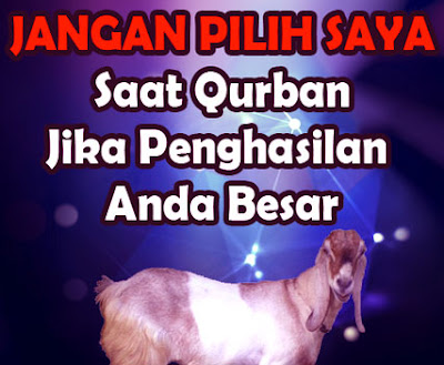 Gambar Kata kata Bergerak Lucu Idulfitri Idul Adha Gambar Kata kata Bergerak Lucu Idulfitri Idul Adha 