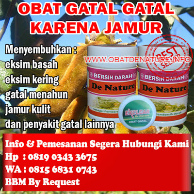 OBAT GATAL GATAL KARENA JAMUR