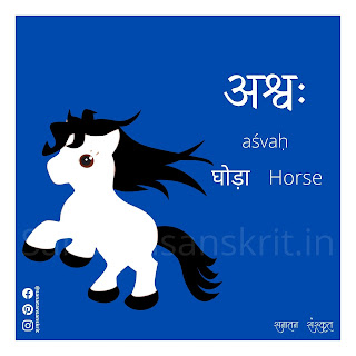 Horse (घोड़ा) in Sanskrit