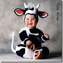 TA65CowCD11