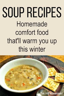 You're sure to find a new family favorite among these delicious homemade soup recipes! From a thick and creamy chicken noodle soup to amazing vegetable soups, you'll stay warm this winter!