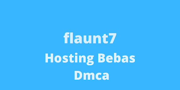 Review Hosting Anti DMCA Flaunt7