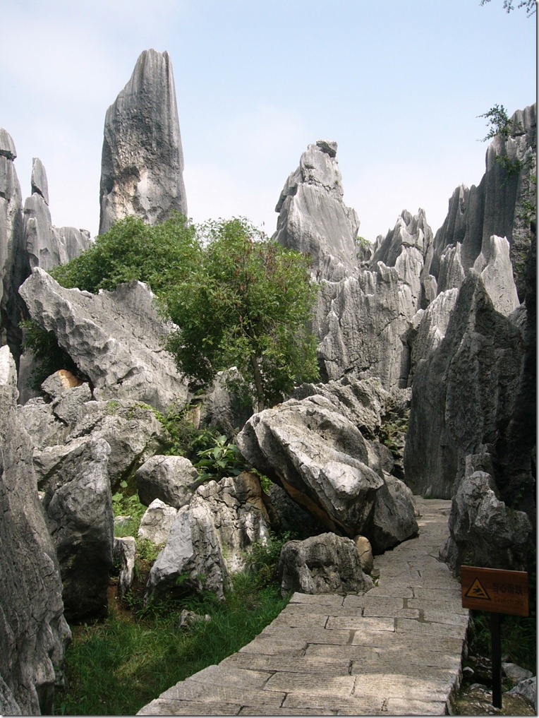 P1070678