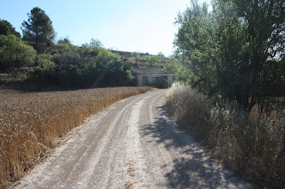 GR-7 BELLPRAT A JORBA (PONT DEL GANXO), Camí de la Remugosa al terme municipal de Sant Martí de Tous