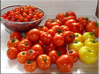 vine ripe tomatoes