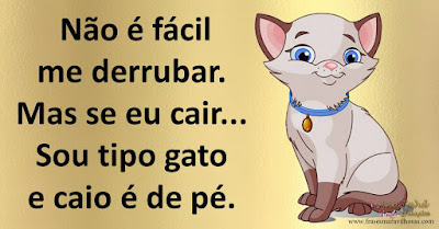 Não é fácil me derrubar. Mas se eu cair... Sou tipo gato e caio é de pé.