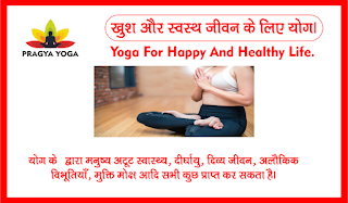 Yog-ka-shaareerik-maanasik-aadhyaatmik-paarivaarik-Importance for you Yoga  in hindi?