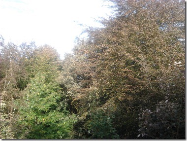 2011-10-18 21.35.57