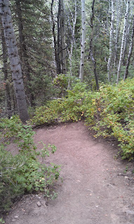 Alexander Basin Trail