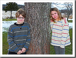 Vinter11-12 053