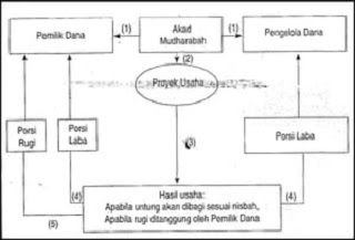 contoh skema akad mudharabah mutlaqah