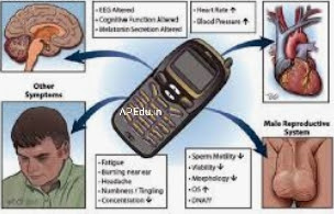 The impact of the cell phone on our health