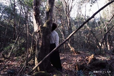 THE SEDENTARY TRAVELLER Japan  s Suicide  Forest  Warning 