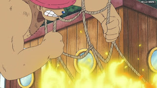 ワンピース アニメ 空島 スカイピア 162話 チョッパー Tony Tony Chopper | ONE PIECE Episode 162 Skypiea