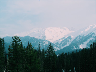 Purity of Nature Gulmarg