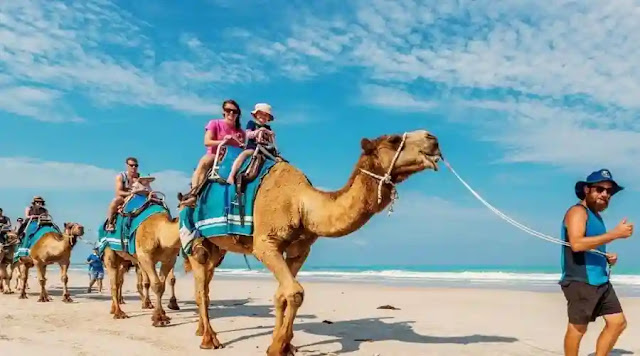 Camel Ride in Bali