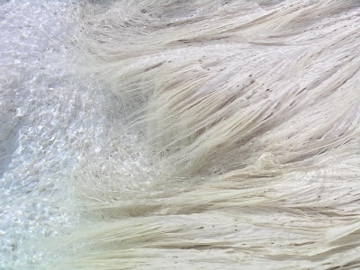 I microbi in agguato nelle sorgenti calde di Yellowstone creano formazioni rocciose che assomigliano molto a fettuccini o capellini.