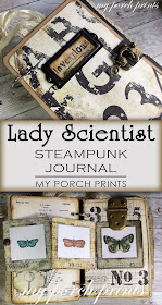 Lady Scientist Steampunk Junk Journal by My Porch Prints