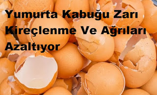 Yumurta Kabuğu Zarı Kireçlenme Ve Ağrıları Azaltıyor