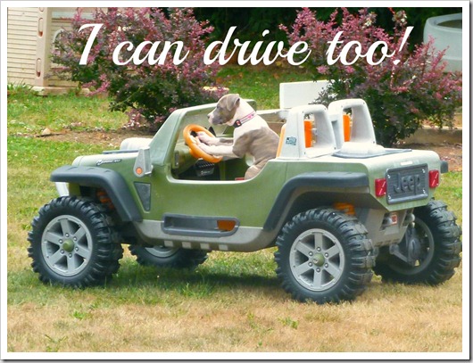 jeep driving