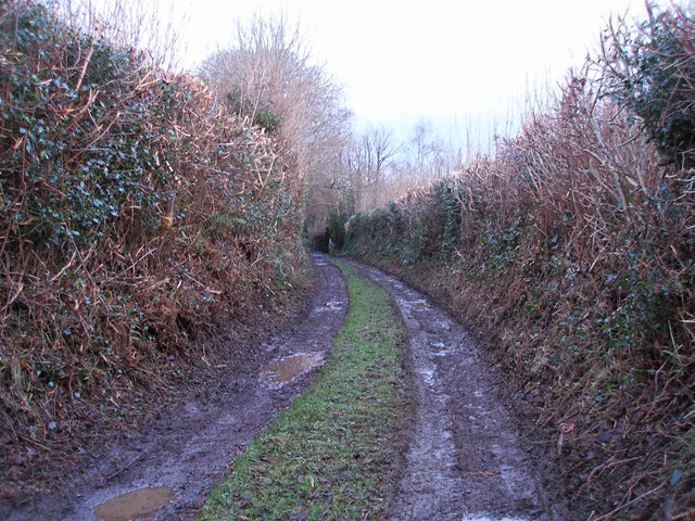 31st_december_2009