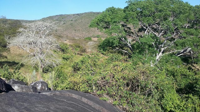 AS BELAS PAISAGENS DA REGIÃO SERRANA DE BOM CONSELHO