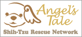 Angel's Taleシーズーレスキューネットワーク