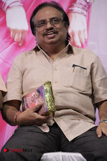 Ennodu Nee Irundhaal Tamil Movie Audio Launch  0019.jpg