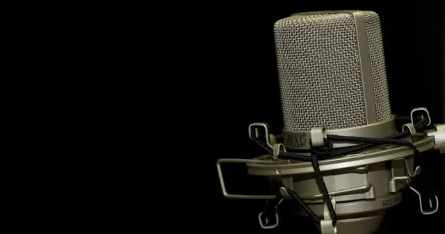 What is voiceover in Fiverr?