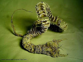 Mongolian Death worm 9 Makhluk Misterius yang Menggegerkan Dunia