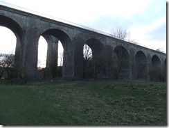 DSCF8155