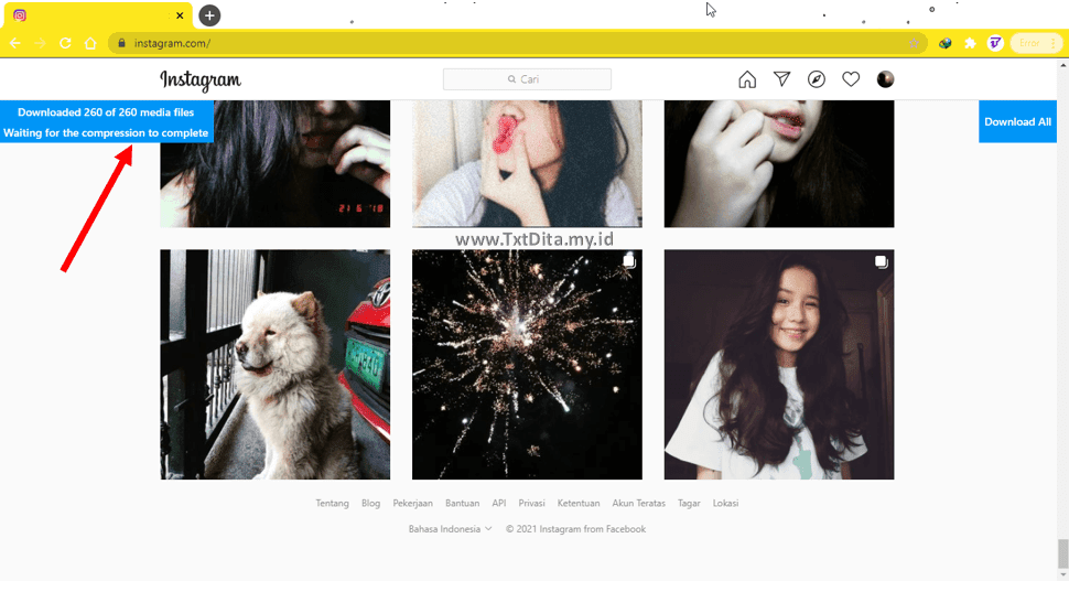 Cara Download Semua Postingan Foto Dan Video Instagram Tanpa Aplikasi