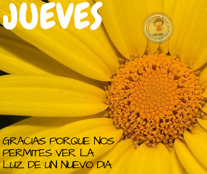 JUEVES Gracias por que nos permites ver la luz de un nuevo dia 