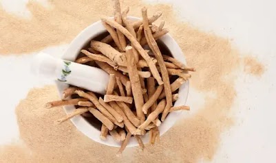 The Power Of Ashwagandha For Fertility