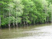 . then an overnight stop at a marina in Myrtle beach. (myrtle beach little river)