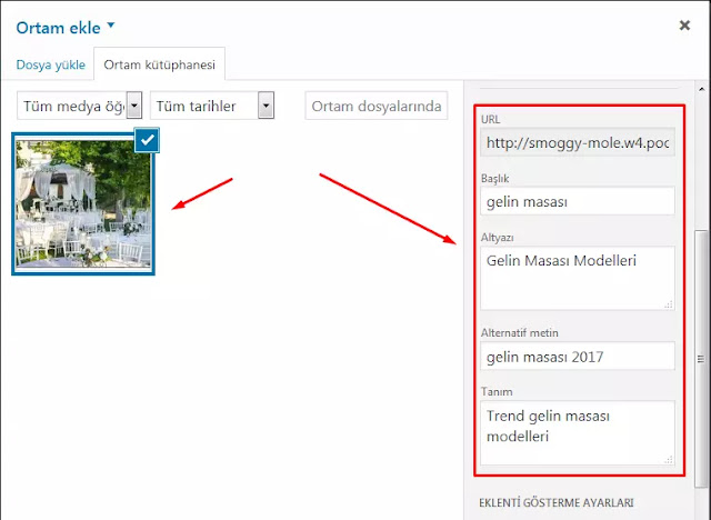 Wordpress Resim Alt Etiket Ekleme