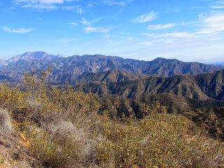 View east from Summit 3977