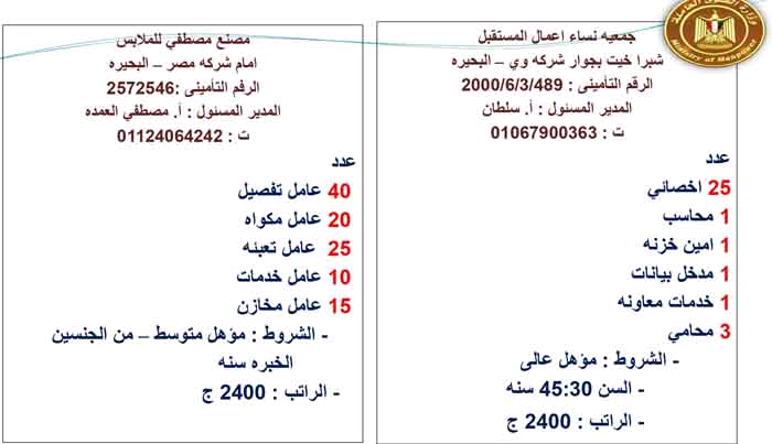 وزير القوى العاملة: توفر 4410 فرصة عمل في 13 محافظة