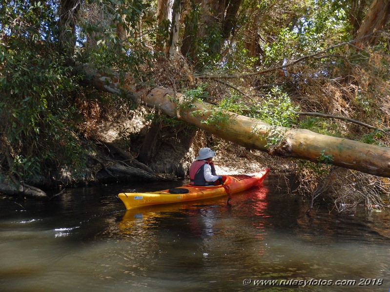 Kayak río Palmones