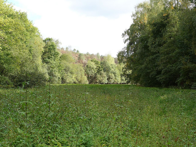 Sécheresse à l'étang du Val, St Just