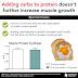 Você precisa adicionar carboidratos à proteína para maximizar o crescimento muscular?