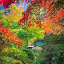 Autumn Serenity In Portland Japanese Gardens