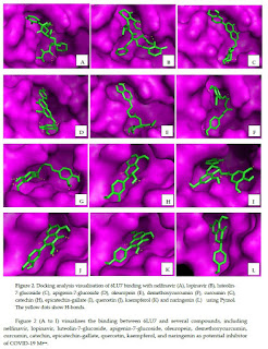 Potential Inhibitor of COVID-19 Main Protease (Mpro) from Several Medicinal Plant Compounds by Molecular Docking Study include Curcuminoid from Temulawak and Kunyit, low price relatively at Jonadoctor Health and Business