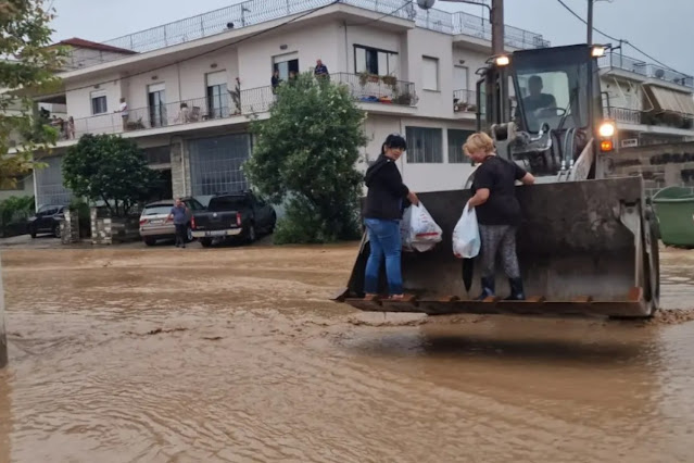 Αντιδράσεις για το κάλεσμα του Δήμου Πύλου σε πληγέντες Θεσσαλούς να μαζέψουν ελιές