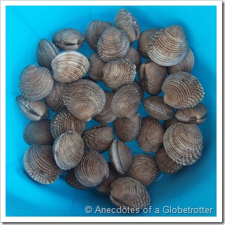 Sea Nochi